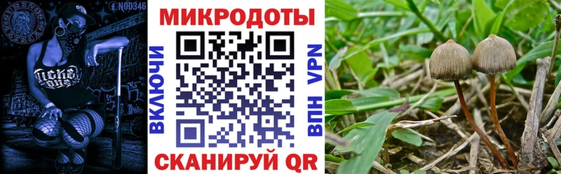 KRAKEN вход  Зверево  Галлюциногенные грибы Cubensis 