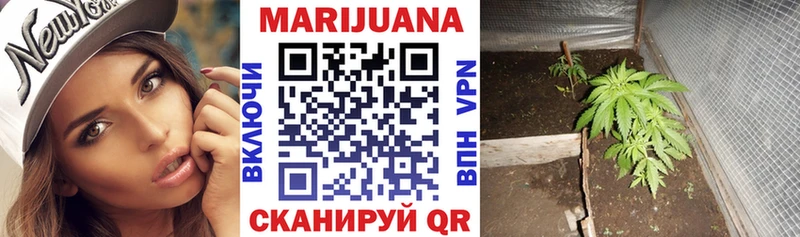 цены наркотик  Зверево  мориарти официальный сайт  Шишки марихуана White Widow 